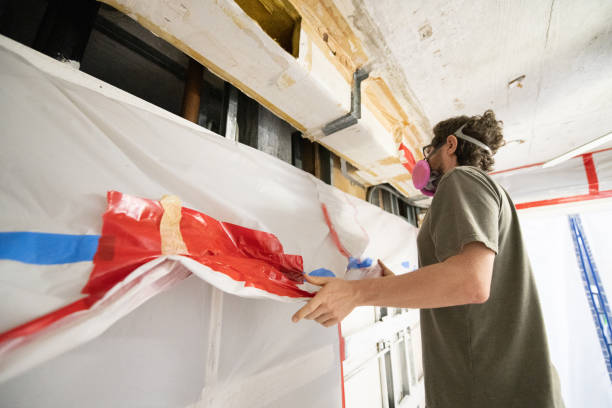 Asbestos and Lead Testing During Mold Inspection in Blue Ridge, GA