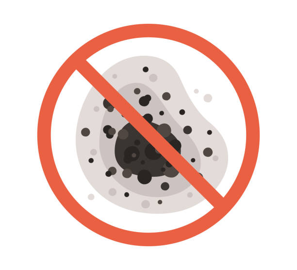 Best Mold Prevention Services  in Blue Ridge, GA