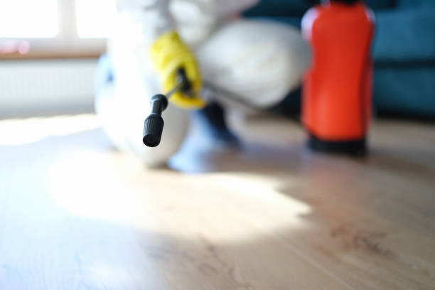 Best Dehumidification Services  in Blue Ridge, GA