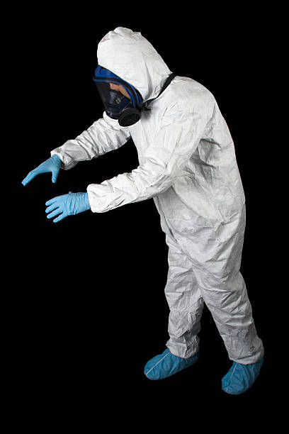Trusted Blue Ridge, GA Mold Removal Experts