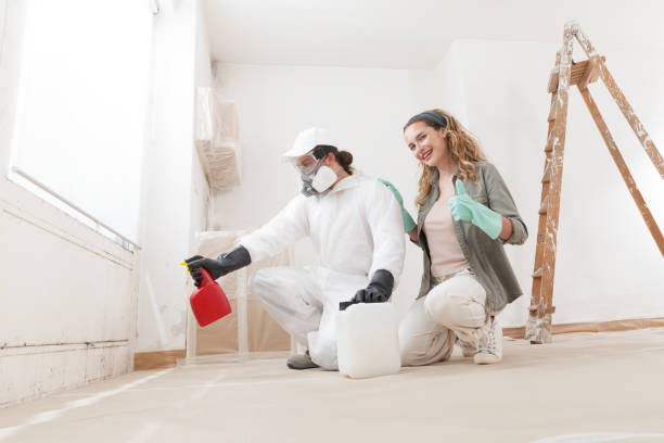  Blue Ridge, GA Mold Removal Pros